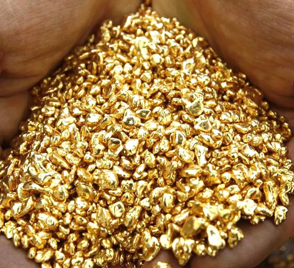 Pure Gold Grain 24k, 100g gold grain Metalor, 200g gold grain LBMA, 300g pure gold granules, 400g gold grain for jewellery, 500g gold grain investment, 1kg gold grain Metalor, buy gold grain online, pure gold pellets 24k, gold casting grain LBMA certified, small gold grain for melting, jewellery gold granules, industrial gold grain, dental gold granules, investment gold grain 24k, pure gold granules Metalor, hand poured gold grain, gold shot 24k, Metalor gold pellets 1kg, gold grain secure packaging, LBMA approved gold grain, 24k pure gold granules, bullion gold grain for sale, Metalor gold grain 500g, high quality gold granules, gold grain for melting and casting, small gold pellets 24k, gold granules for jewellery making, compact gold grain for investment, gold shot for collectors, pure gold granules 100g, Metalor 200g gold grain, premium gold pellets, gold grain LBMA Metalor, investment-grade gold grain, 24k gold granules for resale, pure gold grain bulk, Metalor gold granules 300g, high purity gold grain, gold grain for portfolio diversification, 24k Metalor gold shot, gold grain discreet shipping, secure gold grain delivery, gold granules for industrial use, gold grain tax-efficient investment, Metalor 400g gold pellets, small gold grains for crafts, gold grain for melting, pure bullion gold grain, LBMA certified gold pellets, gold granules online purchase, gold grain storage safe, premium Metalor gold grain, gold grain 500g secure, high-value gold granules, 1kg gold casting grain, 24k pure gold pellets Metalor, gold grain for jewellers, pure gold granules for collection, gold grain for electronics, Metalor LBMA gold shot, gold pellets for melting, gold granules for trade, buy pure gold grain online, 24k gold grain for investors,